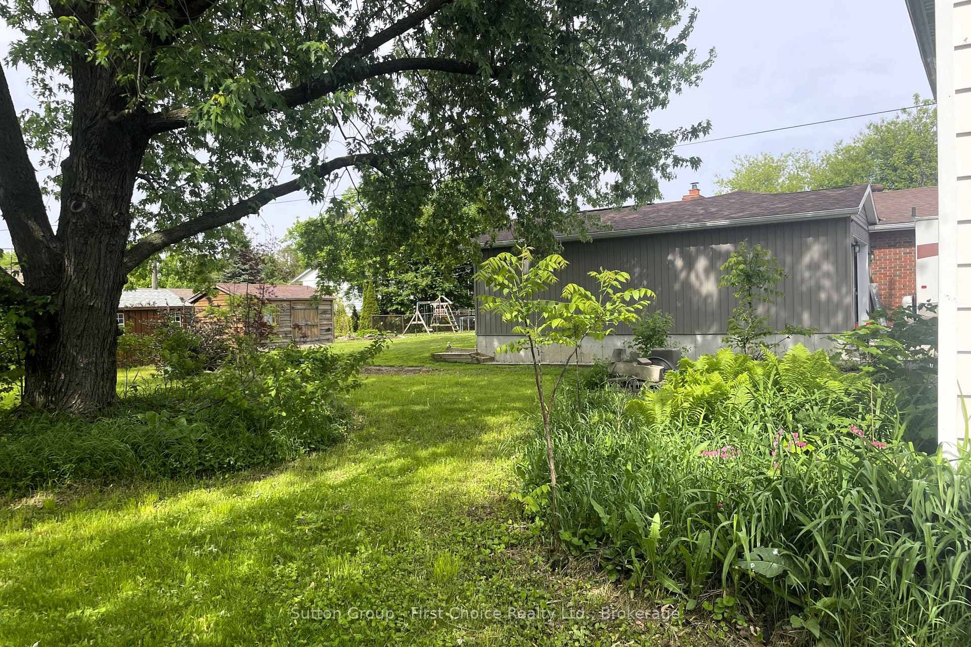 Towards Backyard