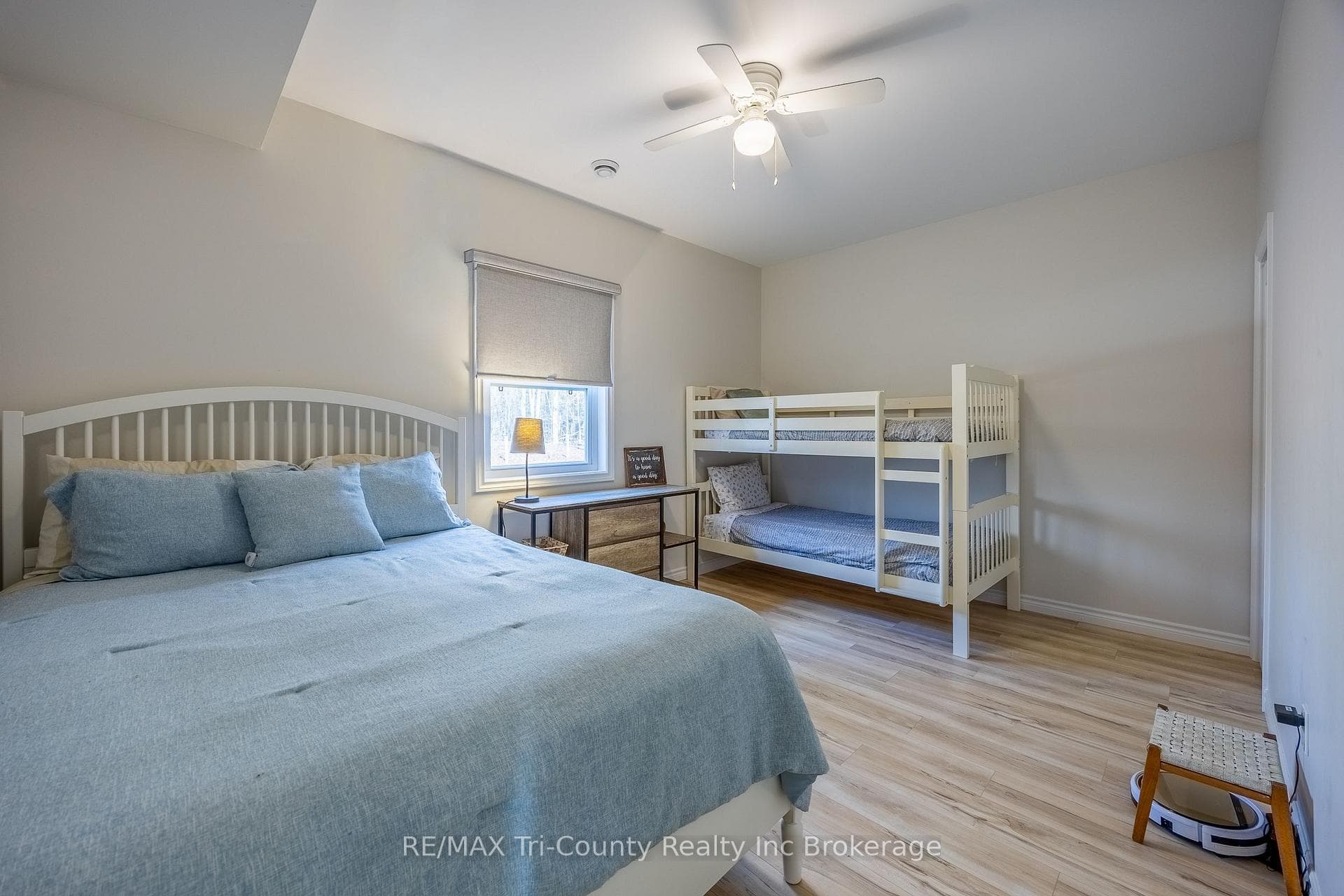 6 Addison Street photo 19