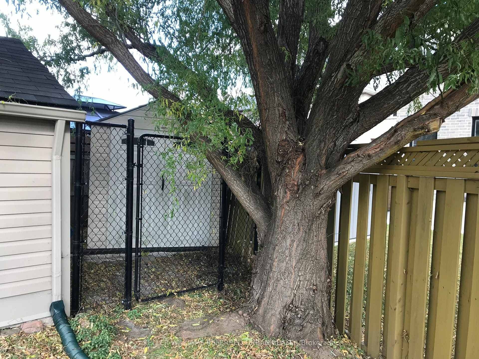 27 Frimette Crescent photo 36