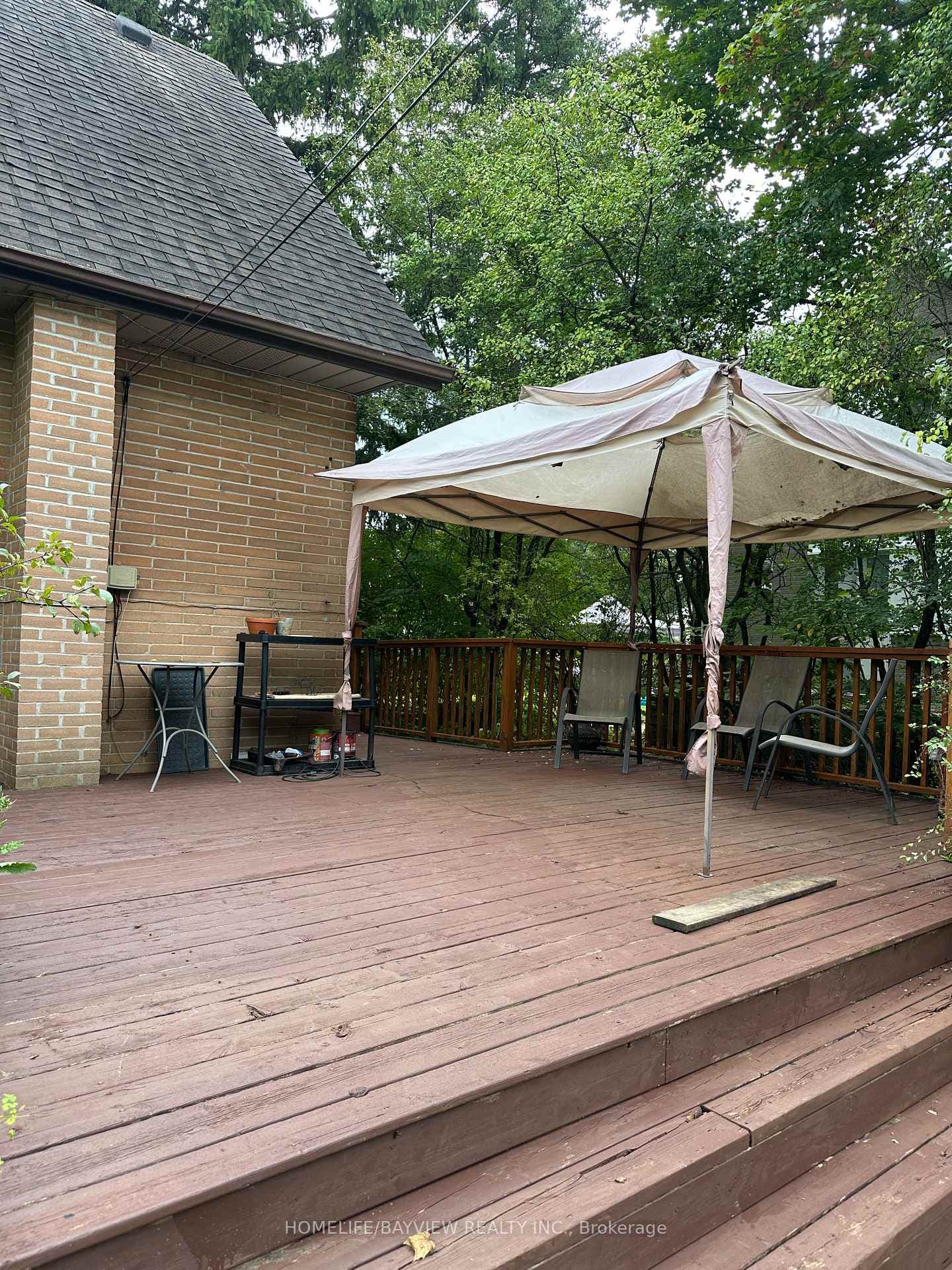 36 Tremont Crescent photo 22