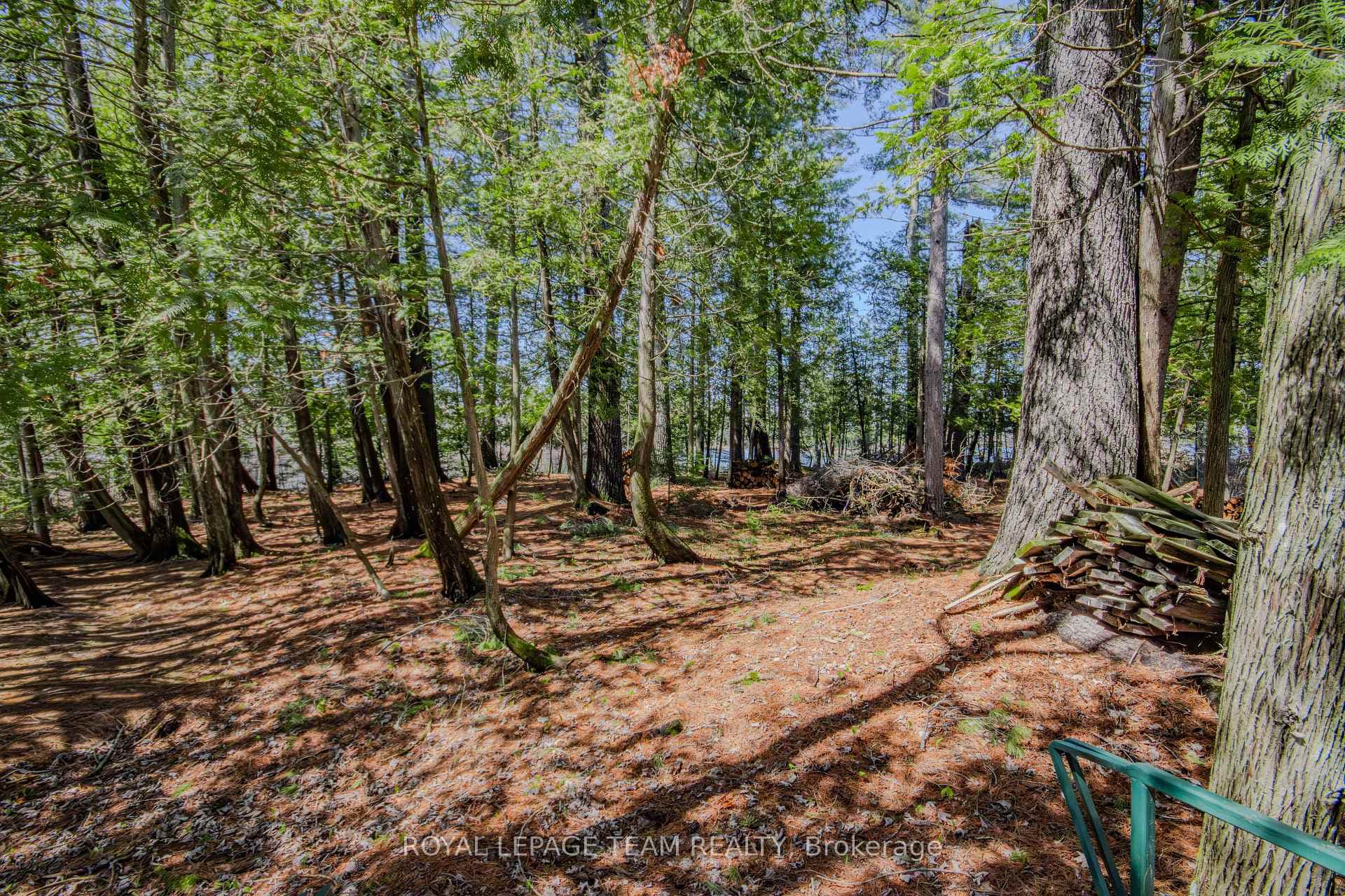 204B Hawkins Drive photo 35
