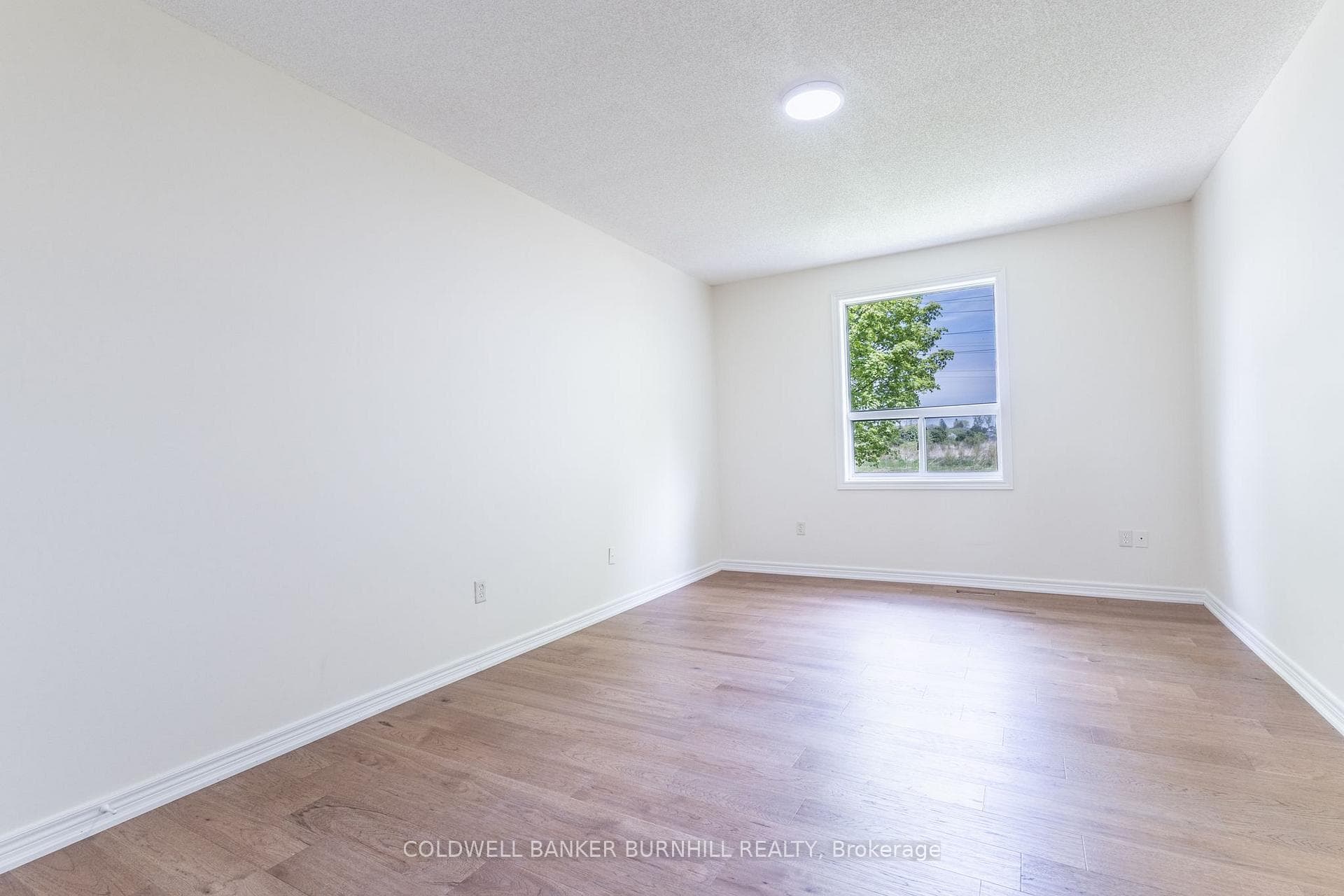 56 Northern Breeze Street photo 18