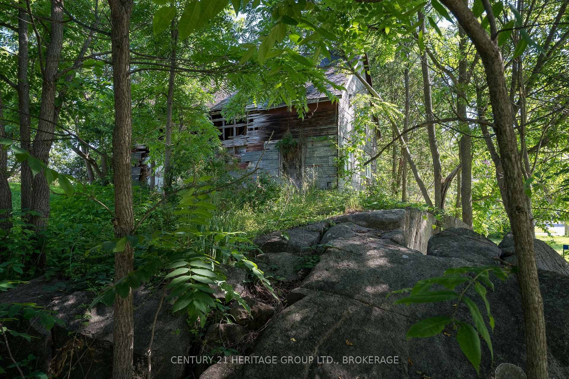 102 Ormond Street photo 5