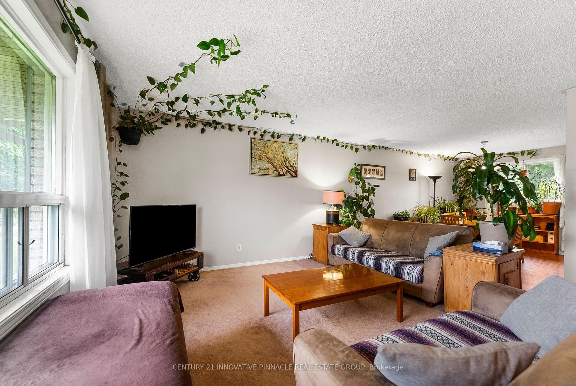 594 Herbert Street photo 12