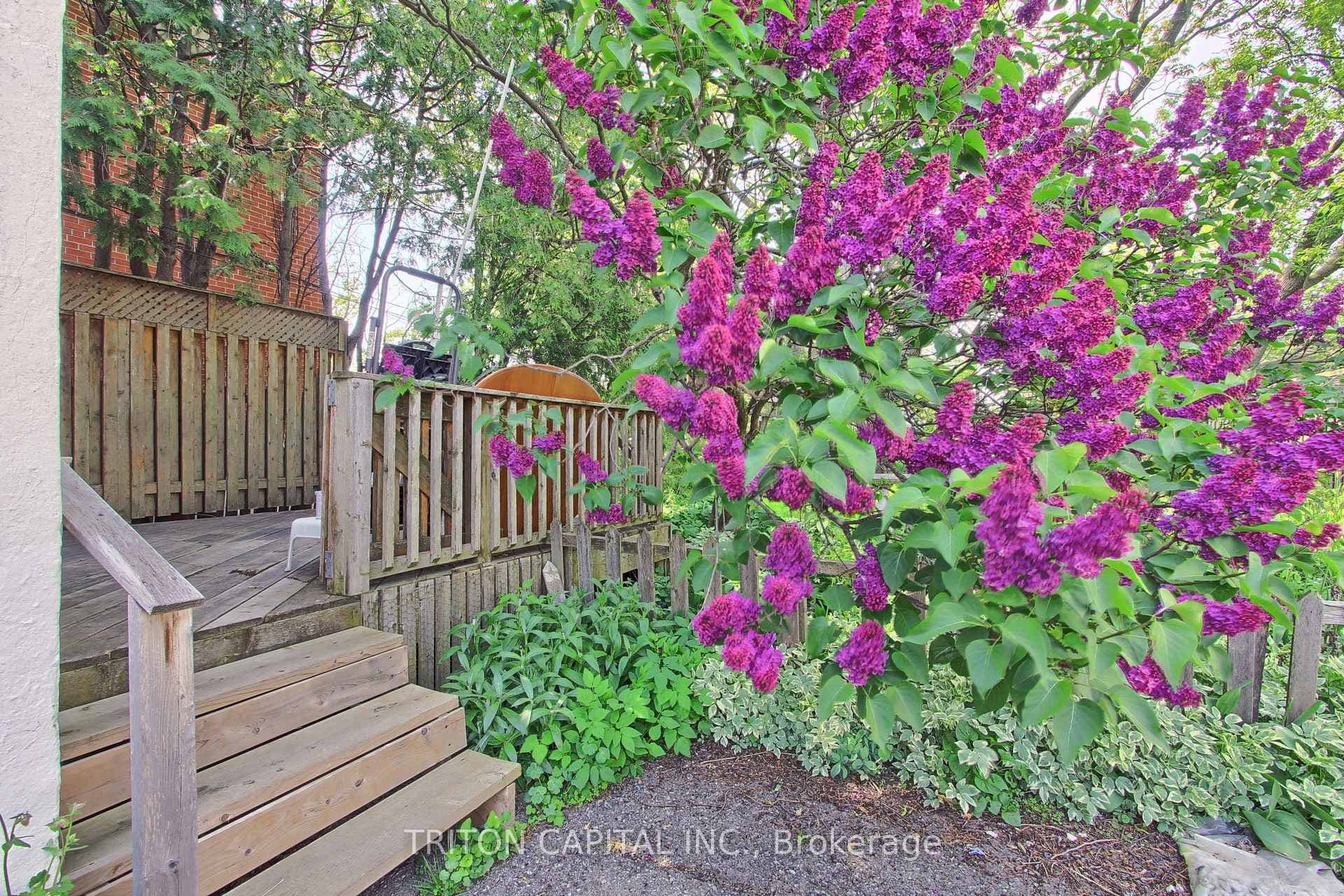 44 Hay Avenue photo 29
