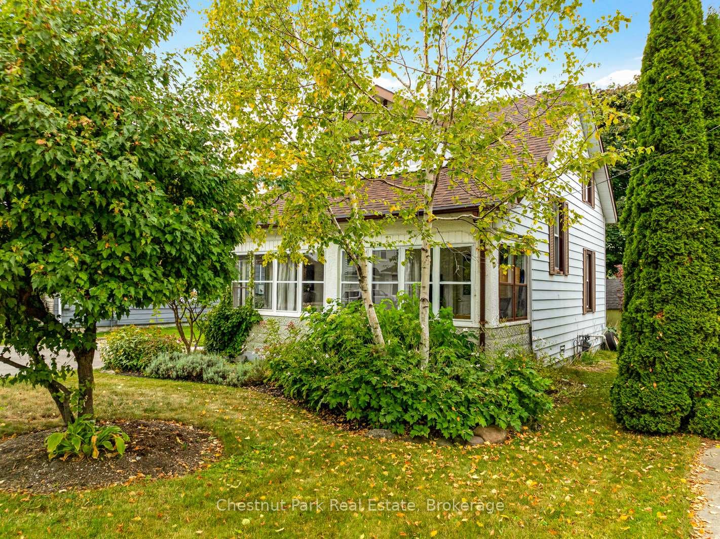 77 Niagara Street photo 40