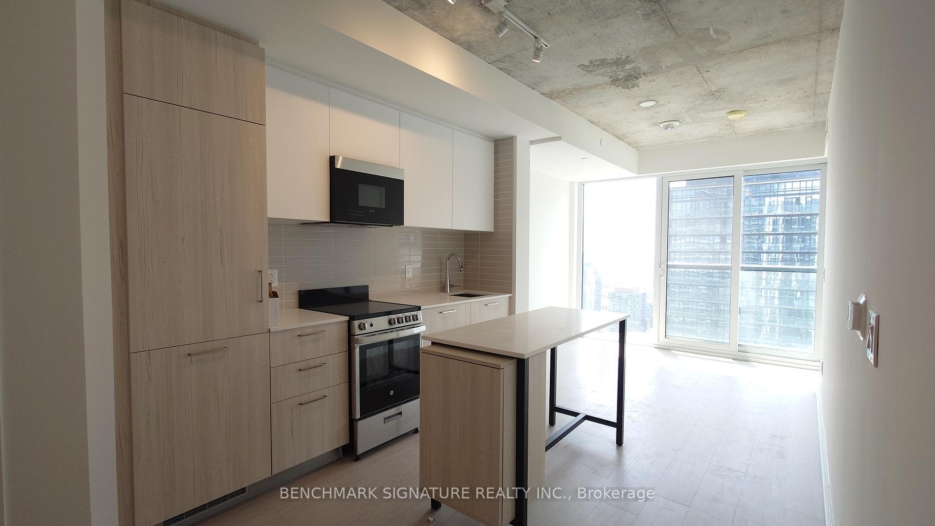 65 Mutual Street Unit 2903 photo 6