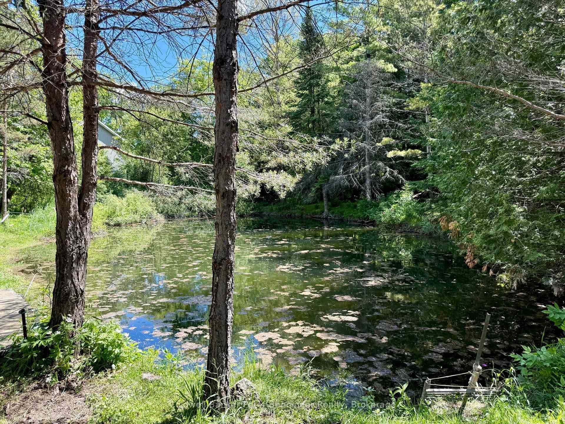 157 Anderson Drive photo 18