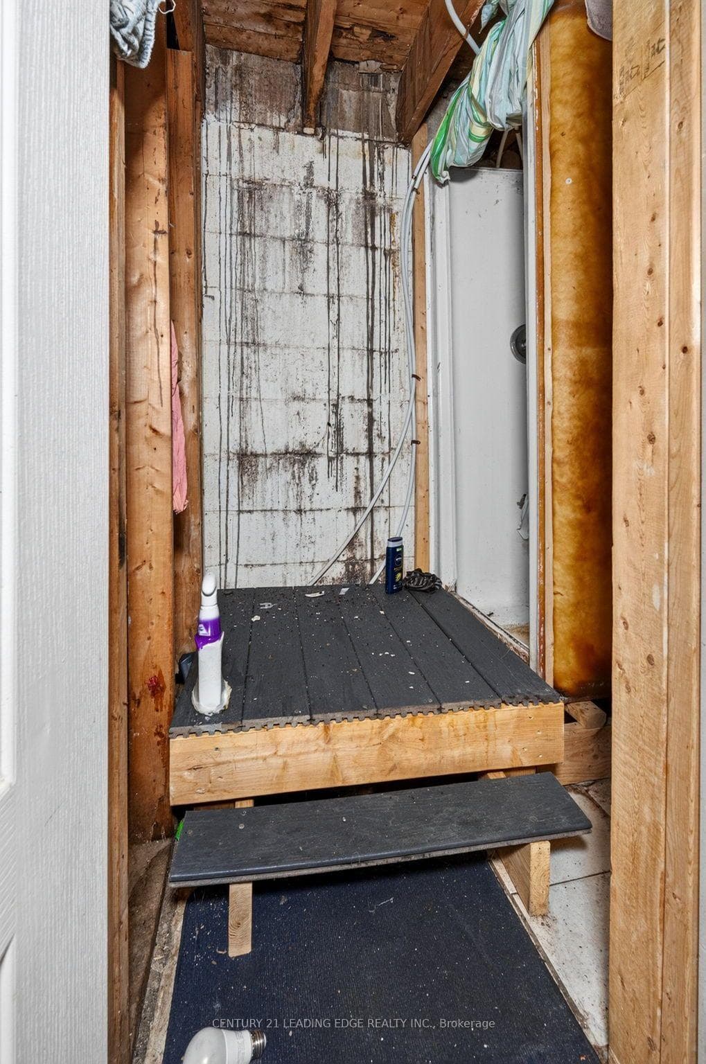 741 Pharmacy Avenue photo 42