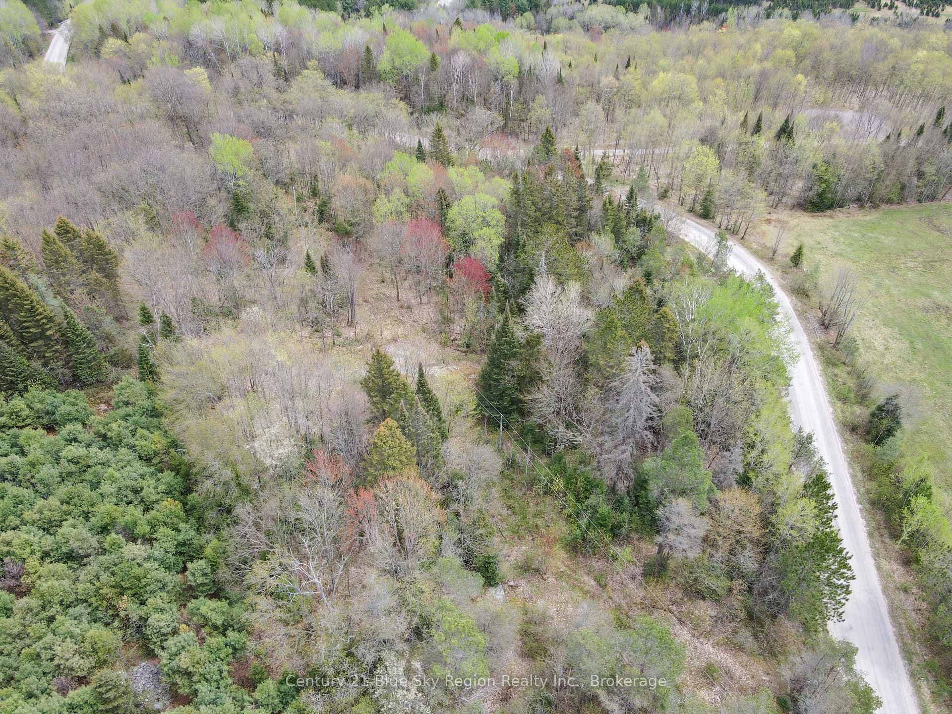 Lot 8 Lindsay Hill Road photo 11