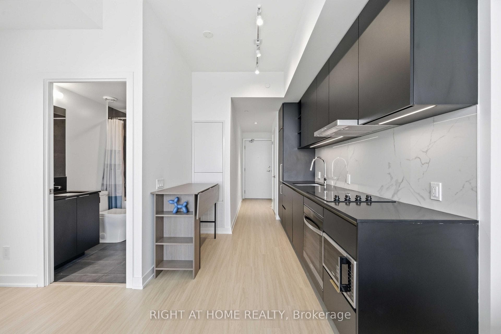 8 WELLESLEY Street Unit 5110 photo 19