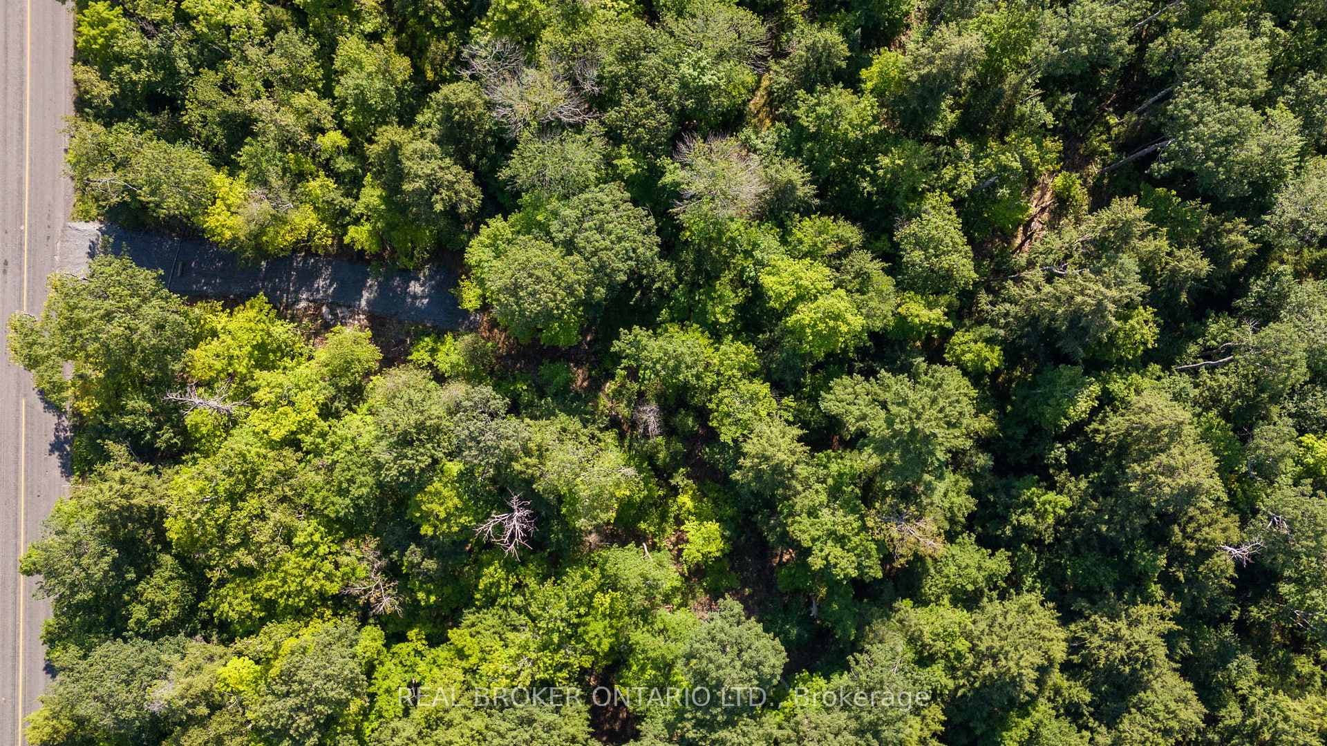 112 Highway 559 N/A photo 3