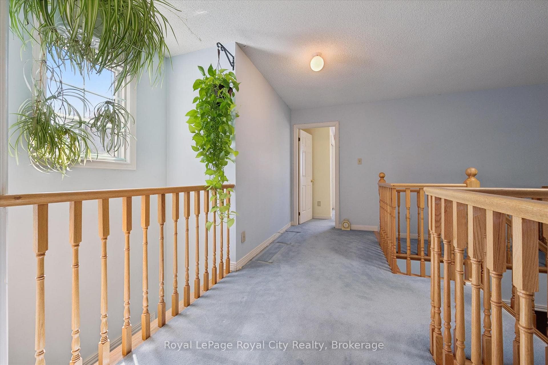 539 Harvey Street photo 25