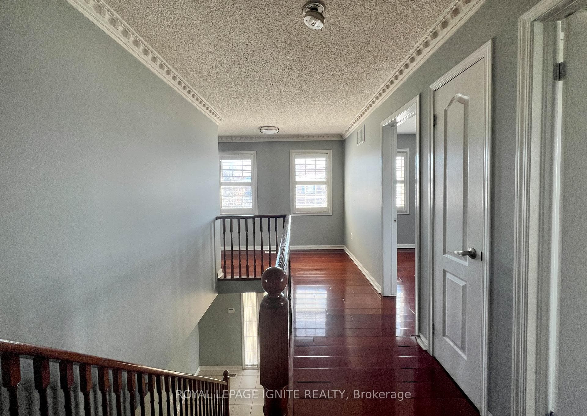 6 Trumpeter Street photo 8