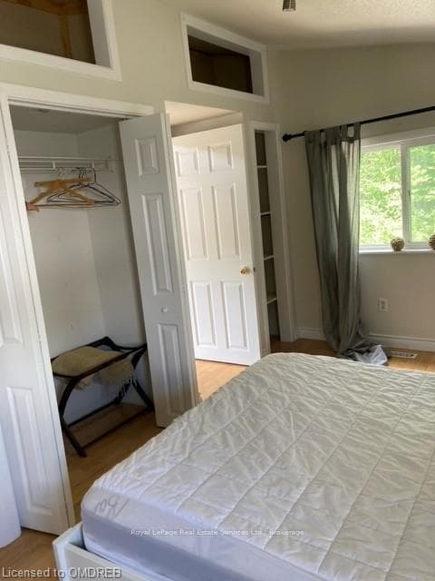 Bedroom with a closet, lofted ceiling, and light h