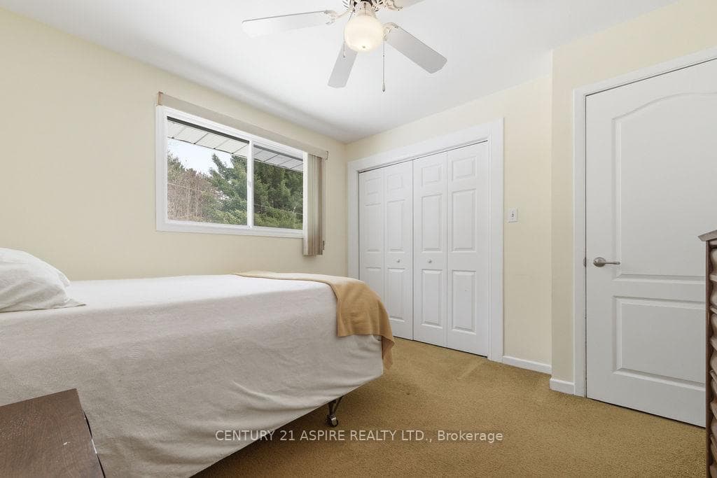 631 Birch Street photo 28