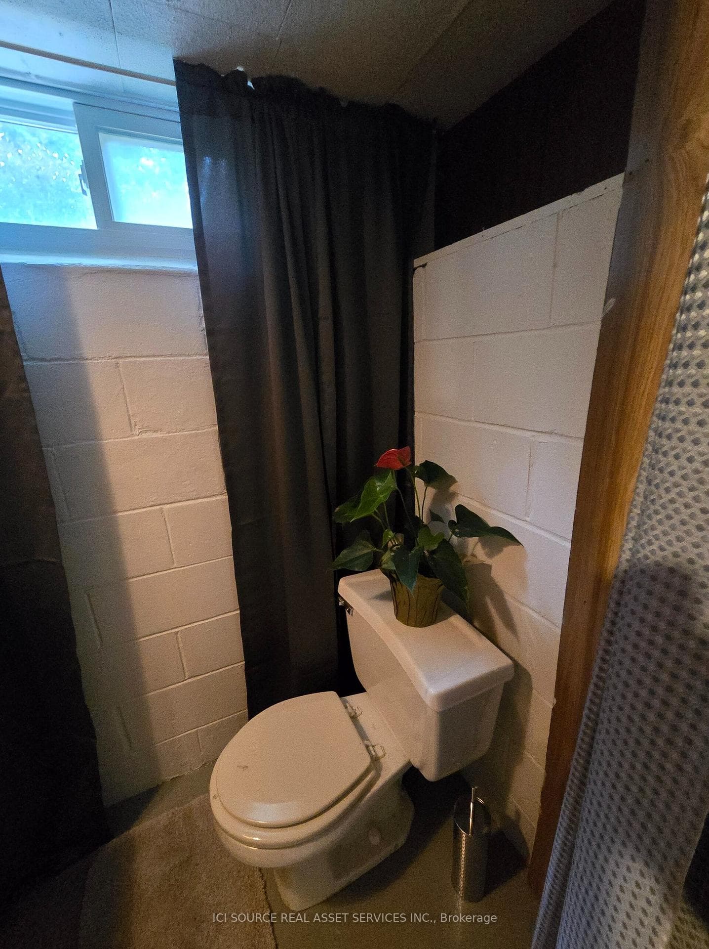 388 Griffith Street photo 29