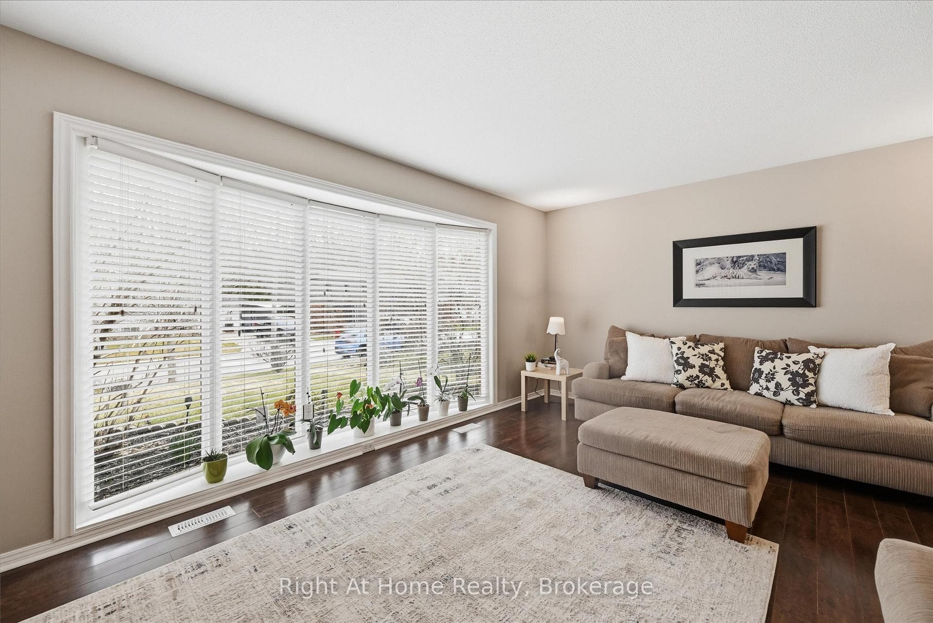 62 Terrace Drive photo 6