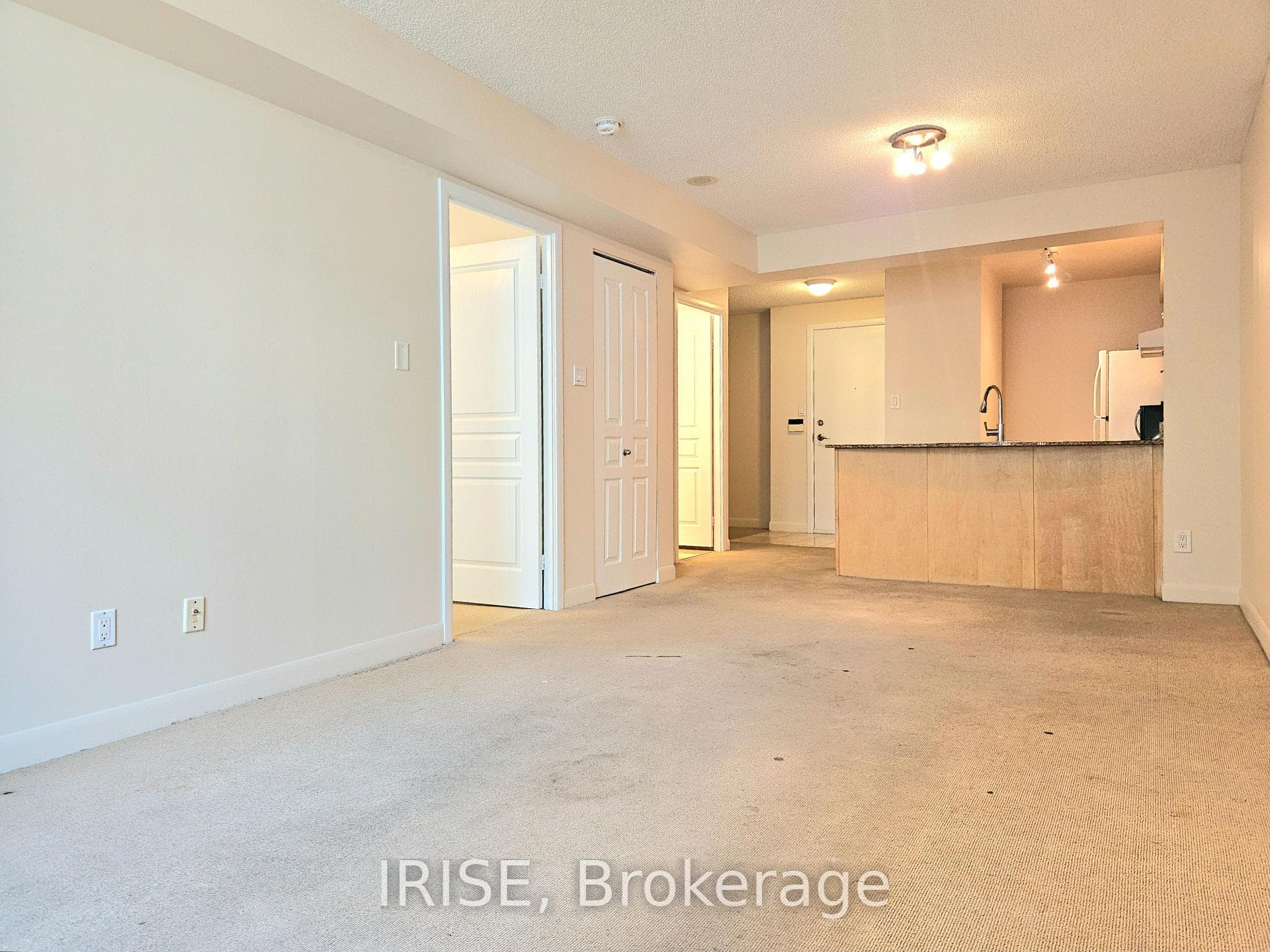 313 Richmond Street Unit 1051 photo 5