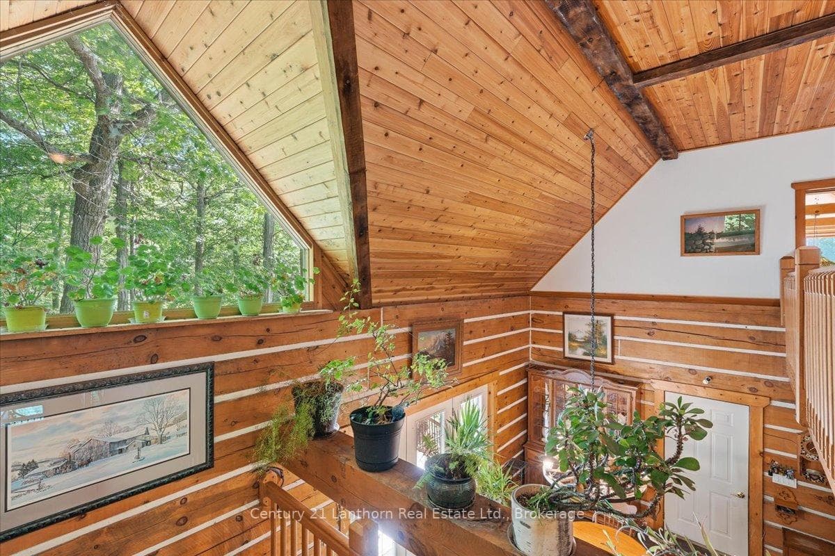 3719 County 1 Road photo 13