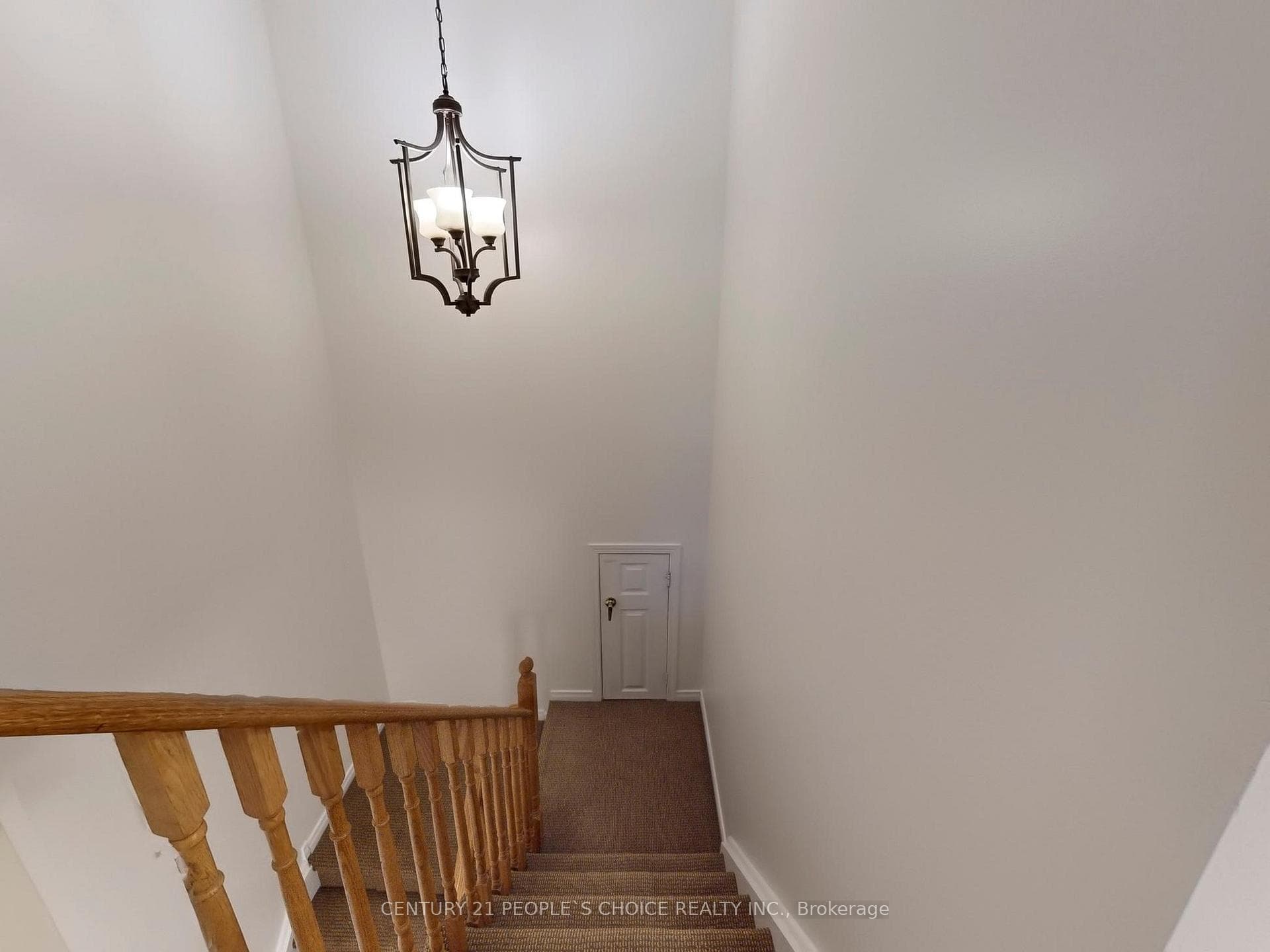 8 Croker Drive photo 17