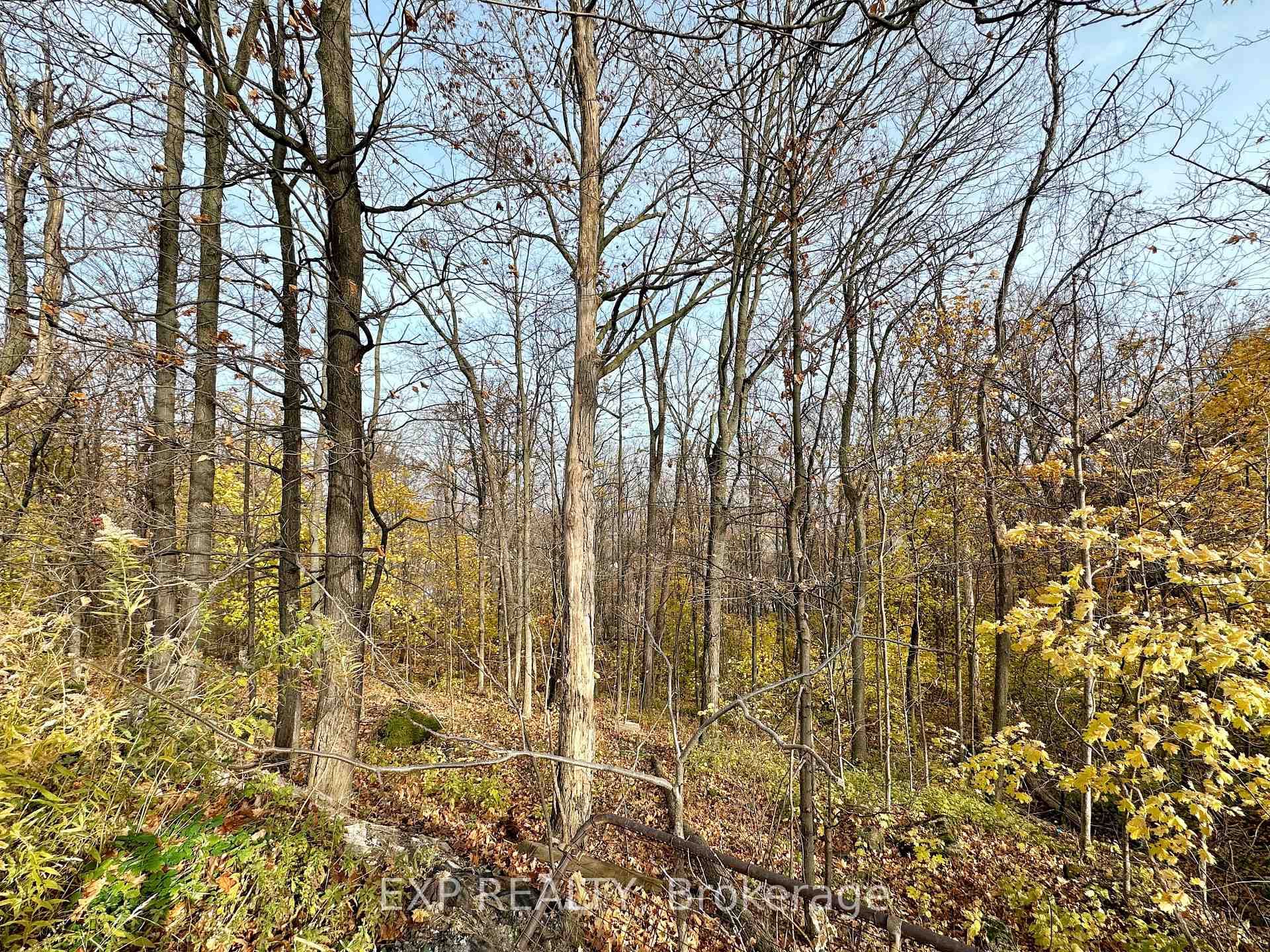 49 Ridge Road photo 13