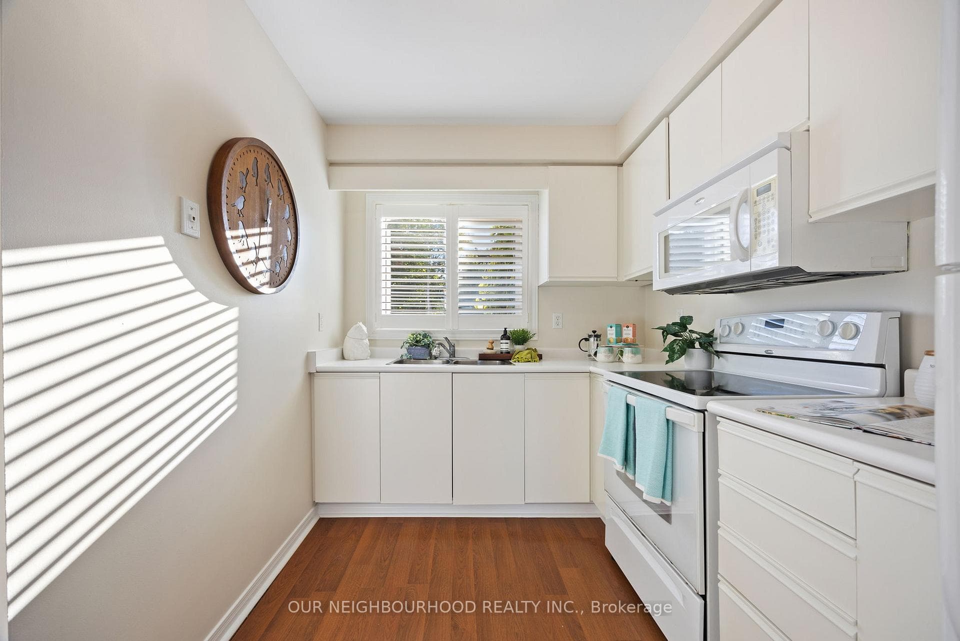 49 Pomeroy Street photo 12