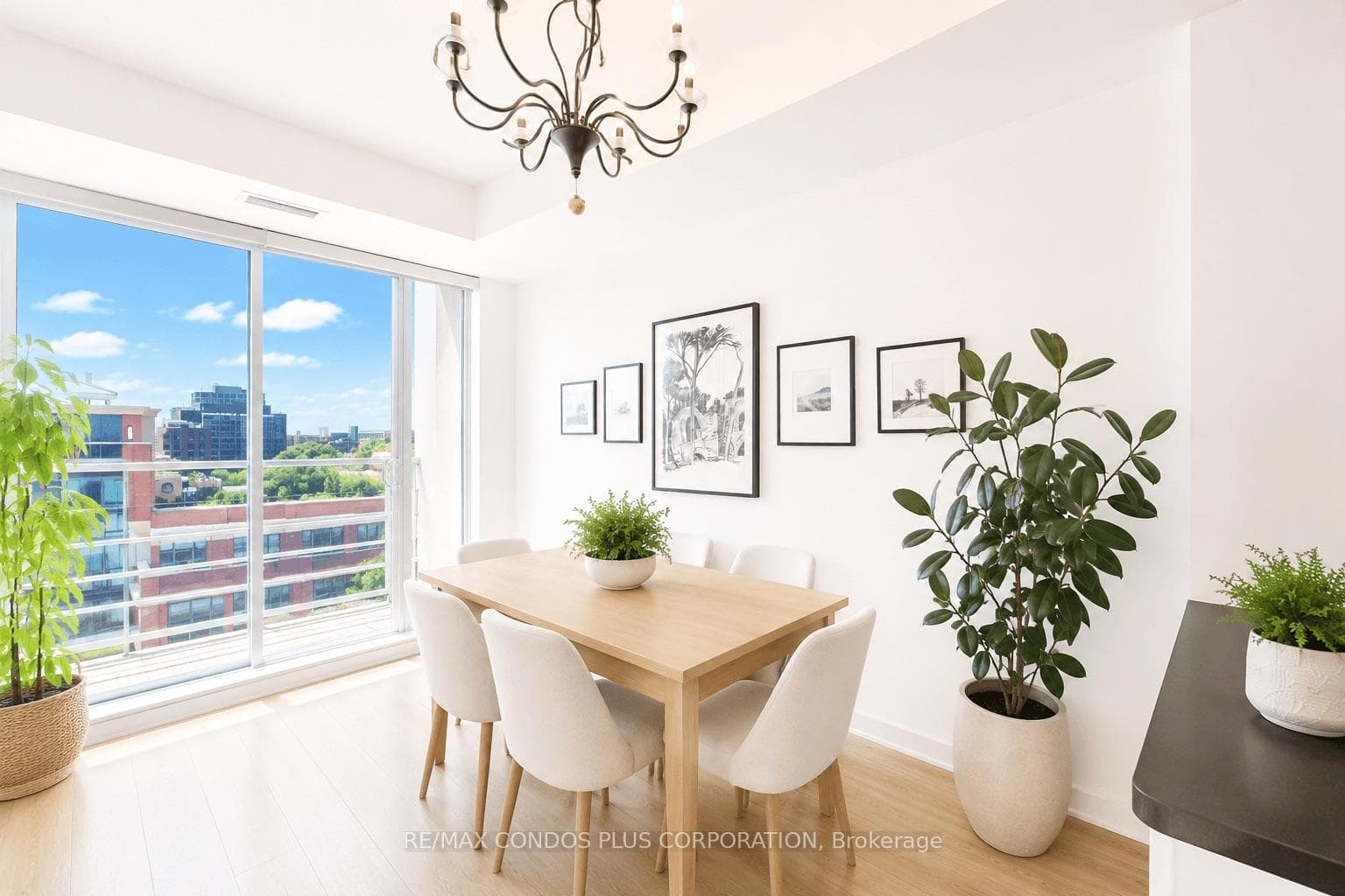 18 Beverley Street Unit 801 photo 8