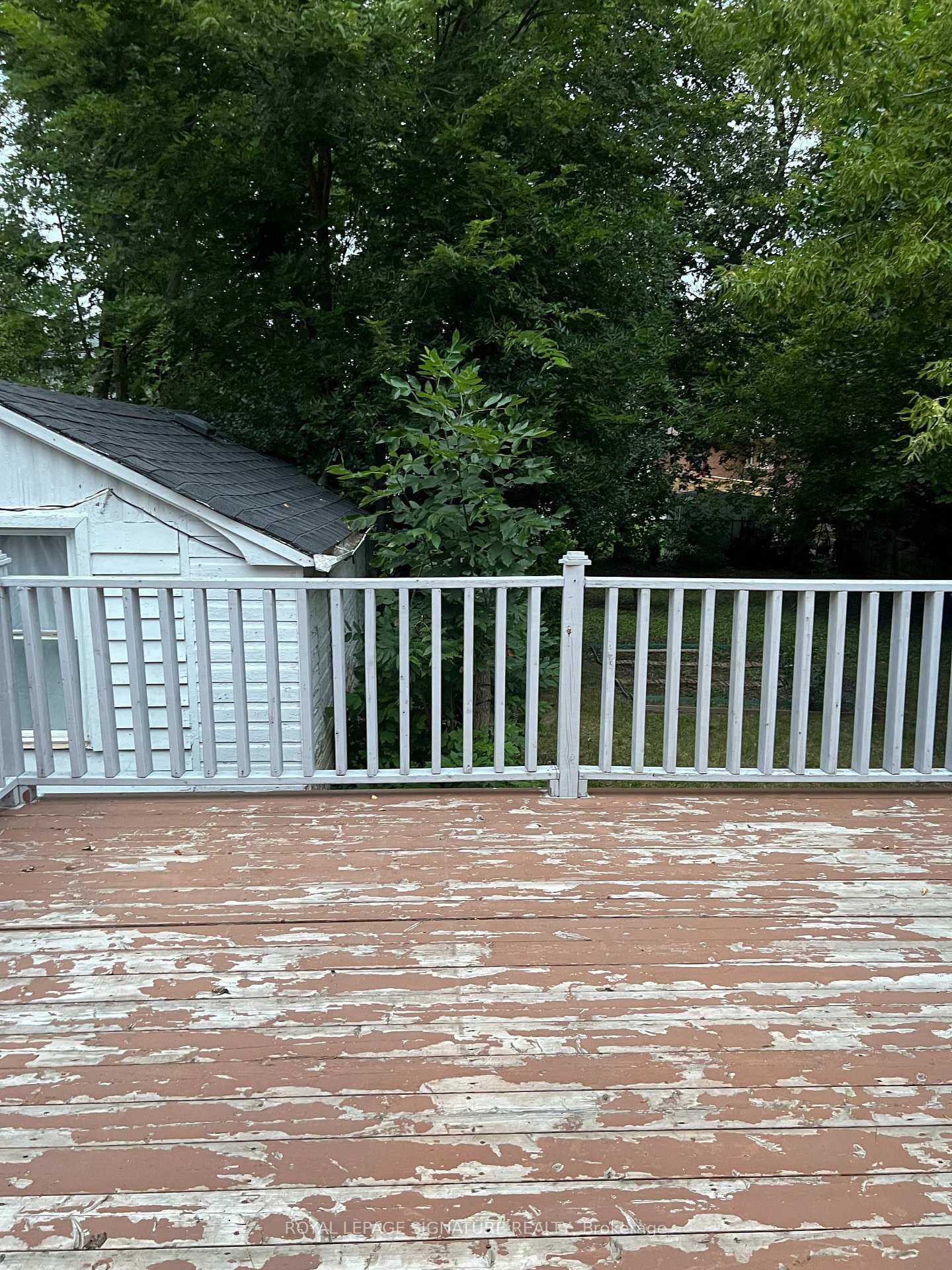 244 Connaught Avenue photo 13