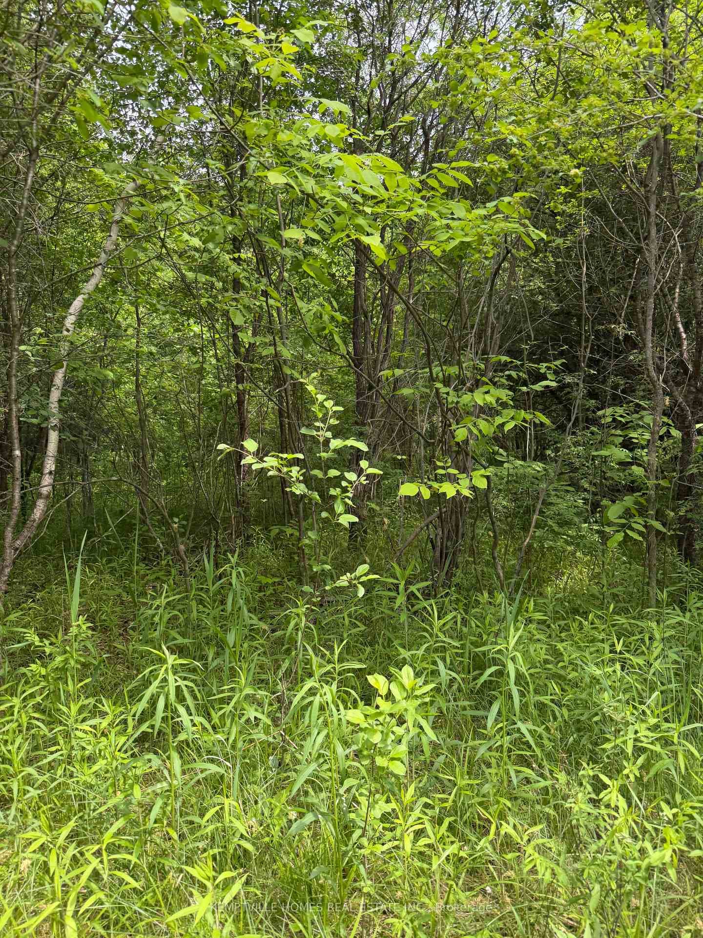 00 RICHARDSON Road photo 19