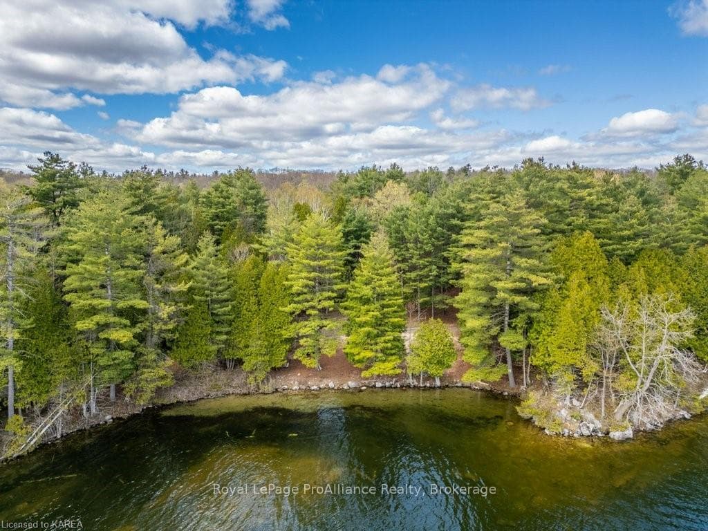 242 TIMMERMAN Road photo 37