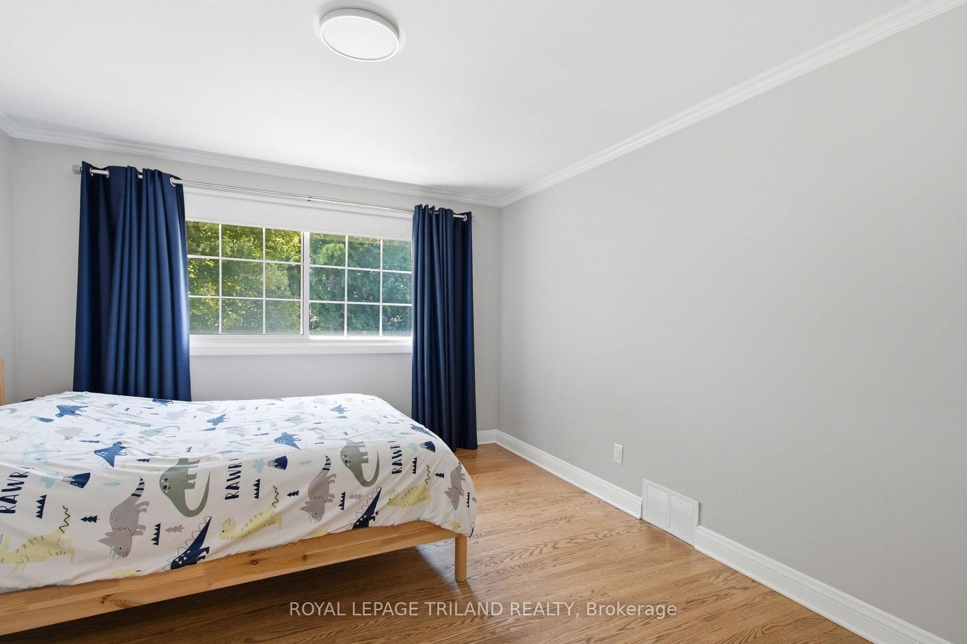 5 Queen Mary Crescent photo 26