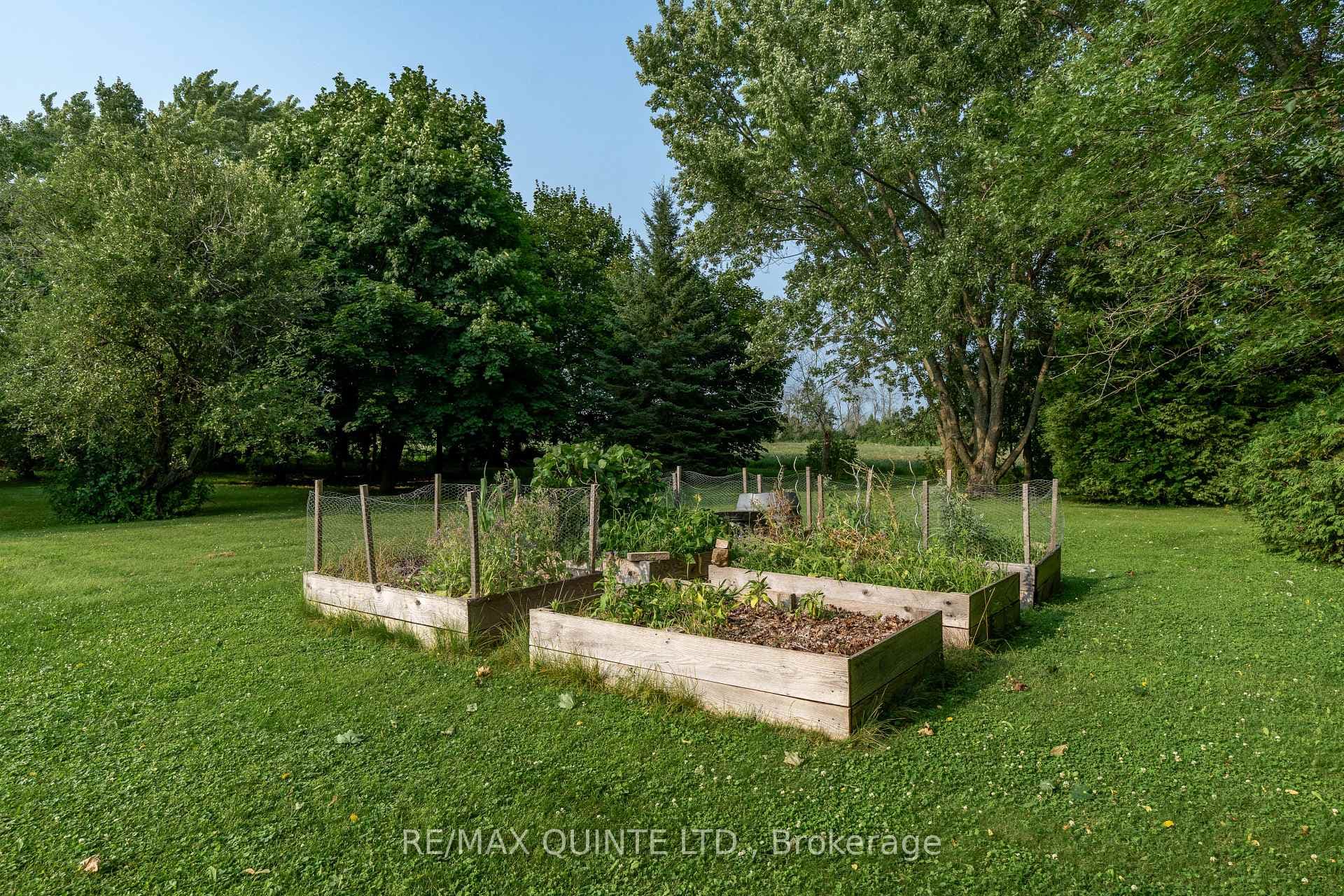 205 Blessington Road photo 20