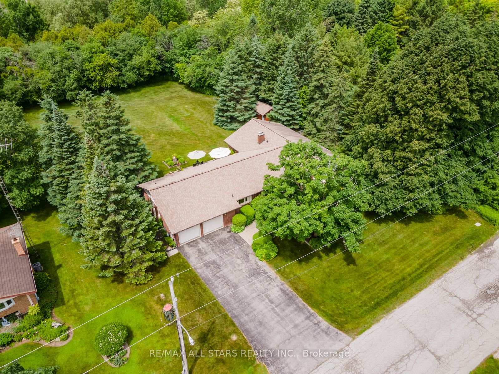 619 Alma Street photo 3