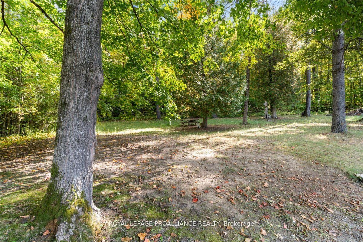 71 Waddingham Road photo 40