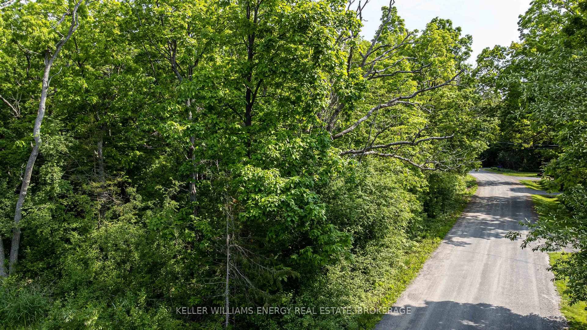 0 Prinyers Cove Crescent photo 5