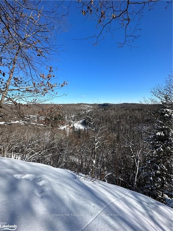 LOT 2 DWIGHT BEACH Road photo 39