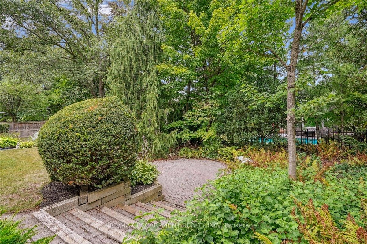 Steps to terrace
