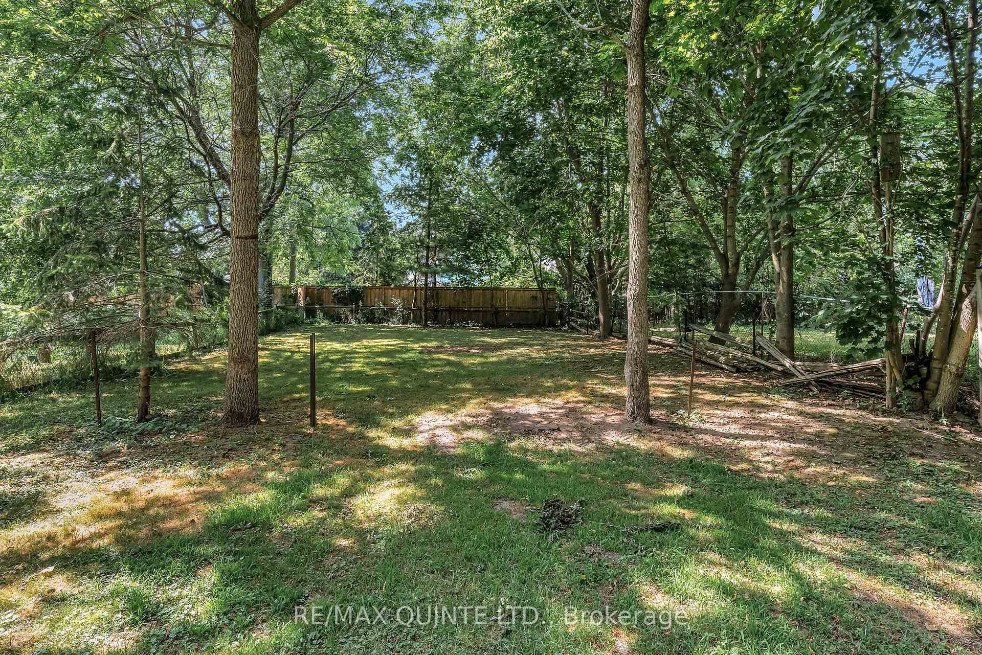 Rear Yard