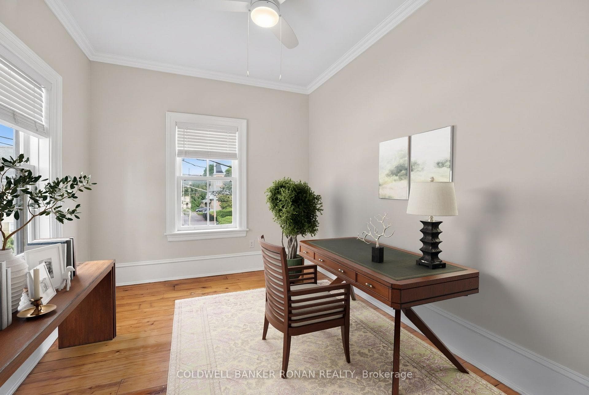 238 Barrie Street photo 13