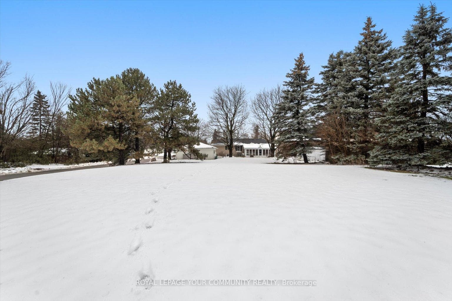 85 Patricia Drive photo 37