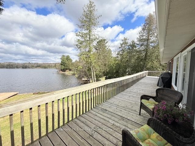 12 Cherry Lane photo 36