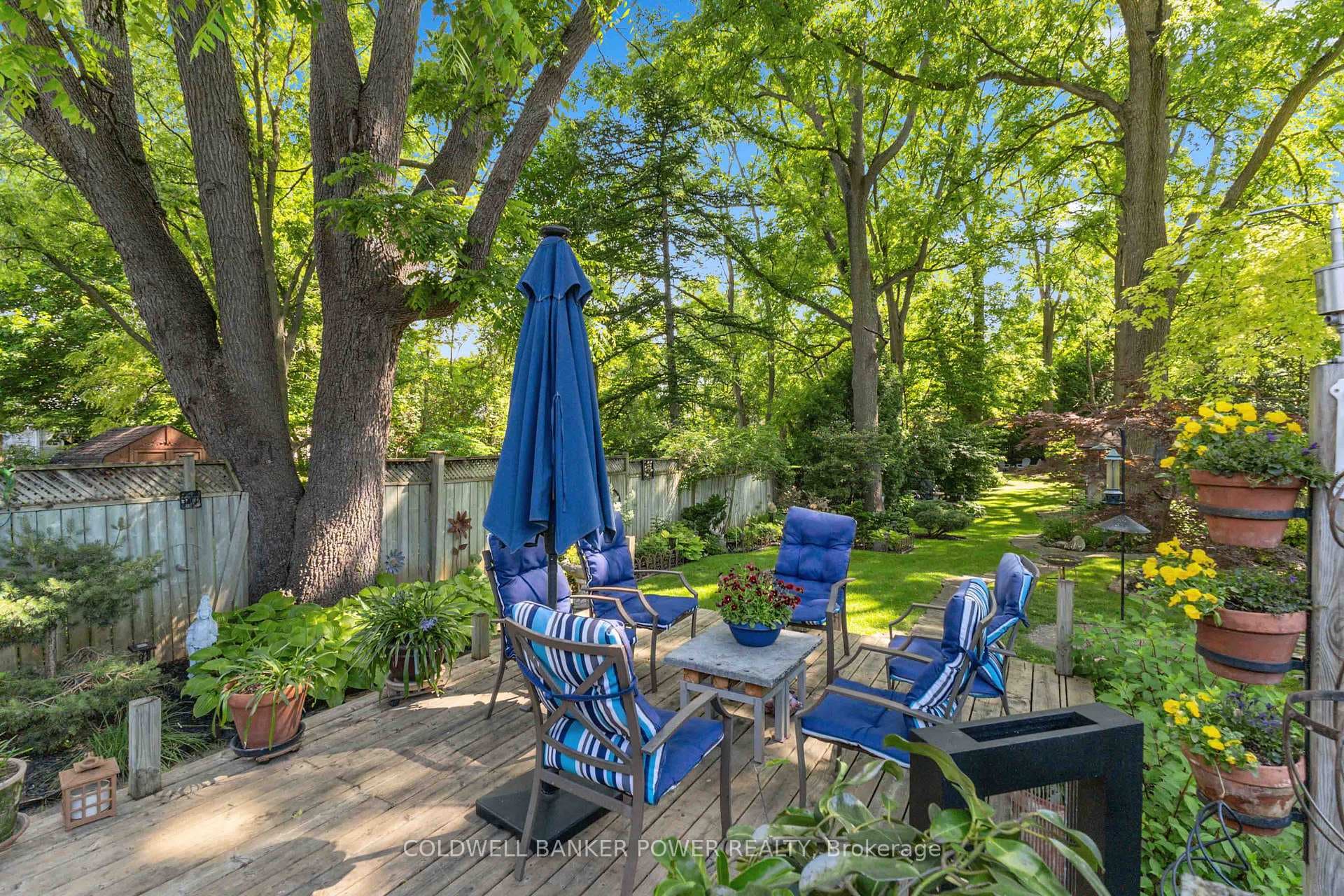 552 St George Street photo 32