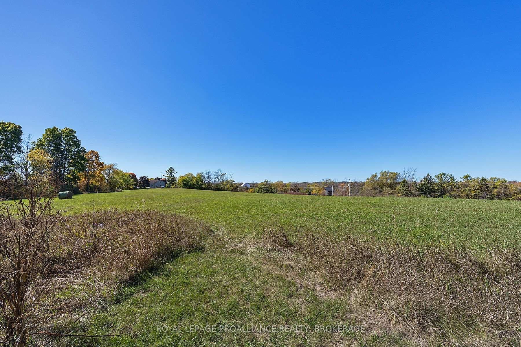 1136 Millhaven Road photo 28