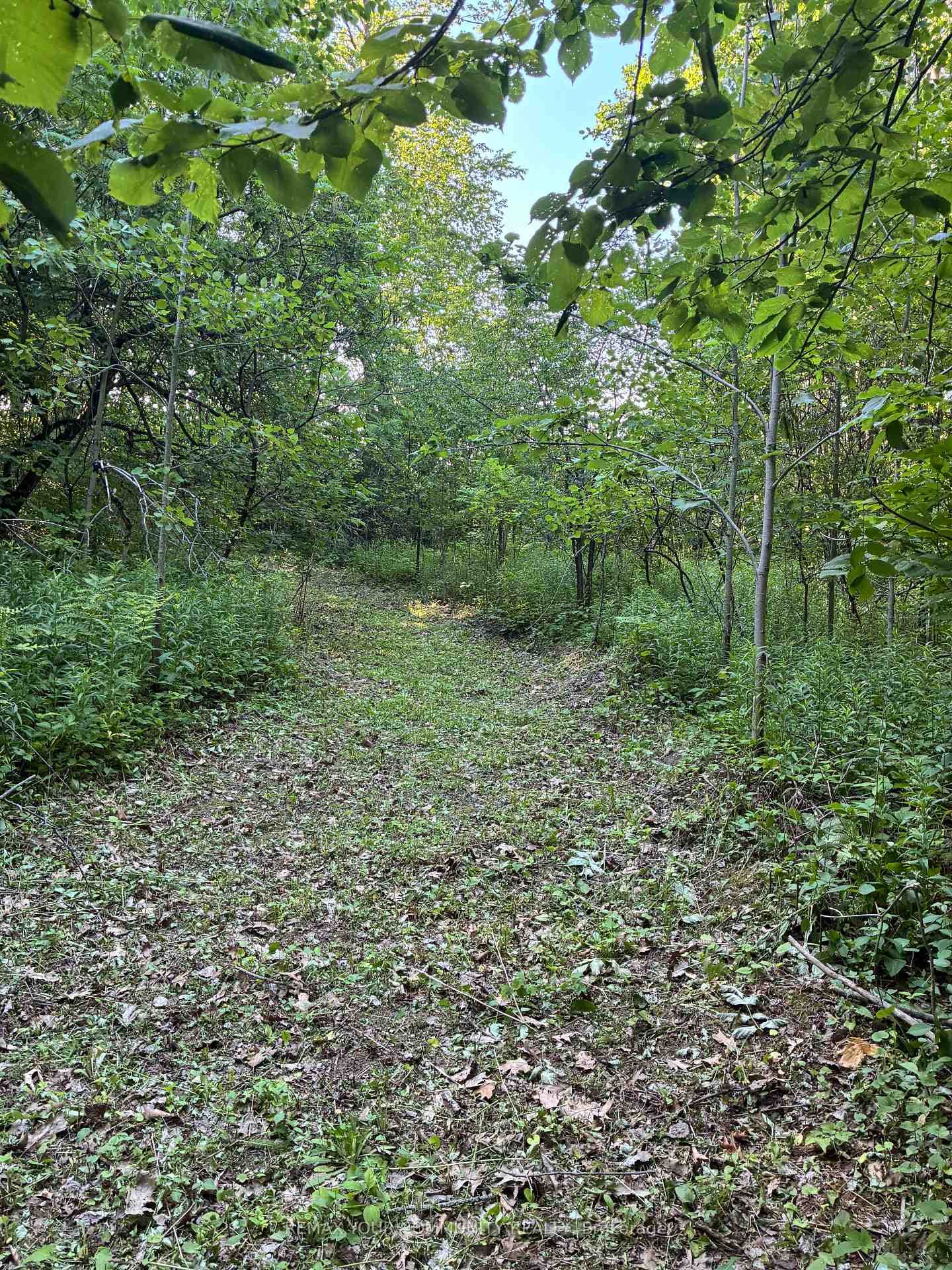 60 Royal Hill Court photo 38
