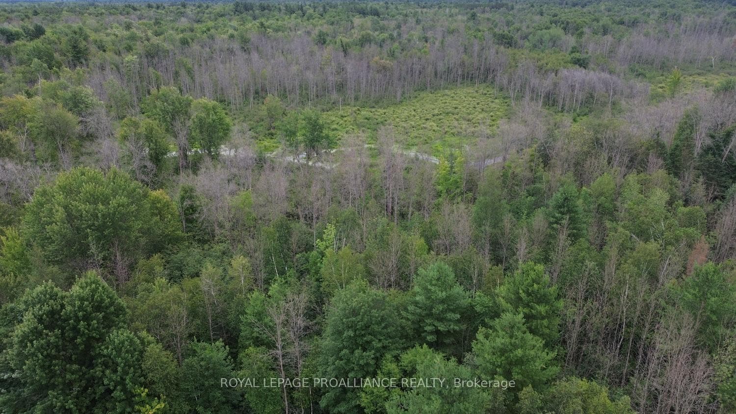 00 Glen Smail Road photo 3