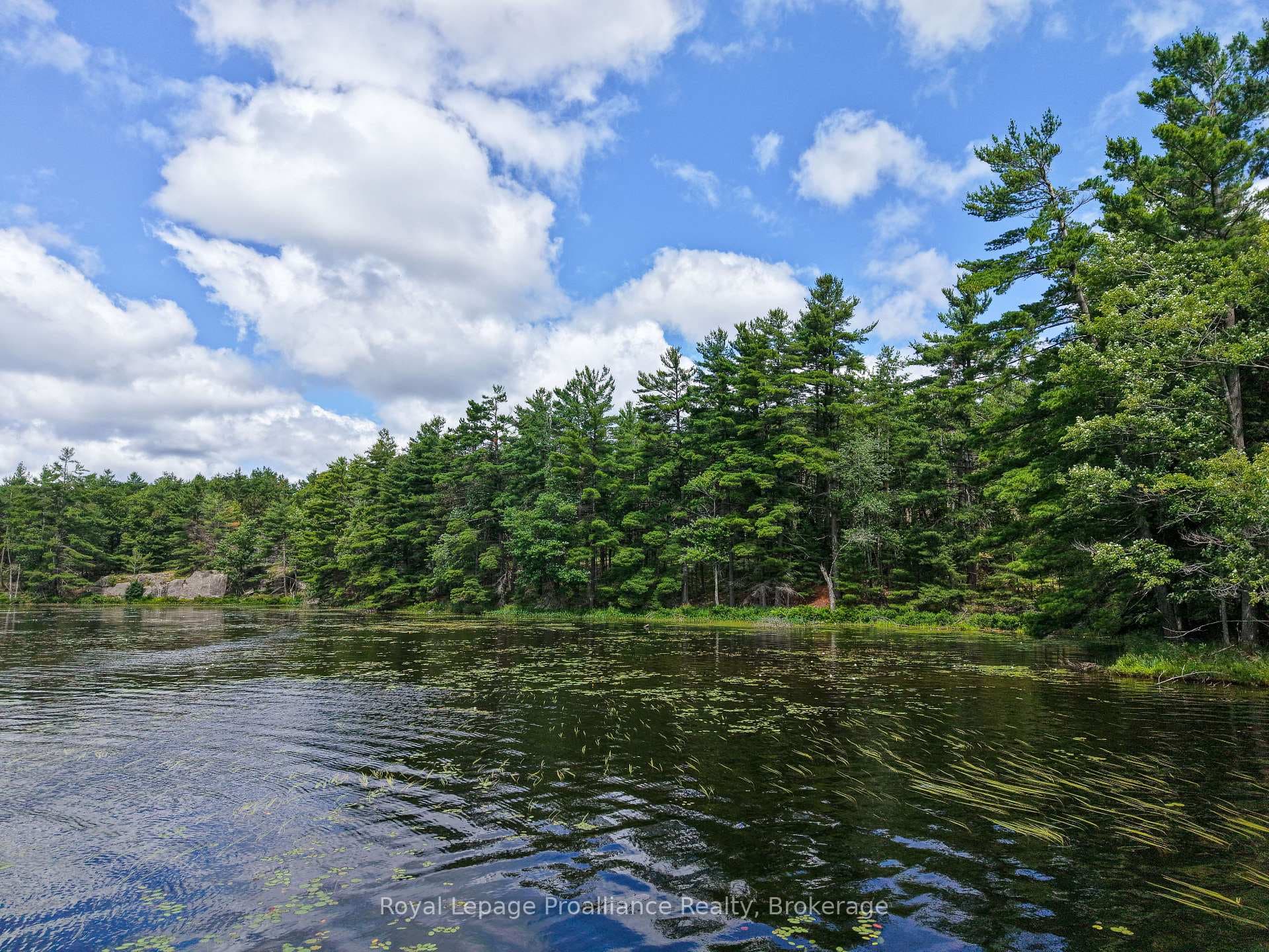 1 WAO Kasshabog Lake N/A photo 17
