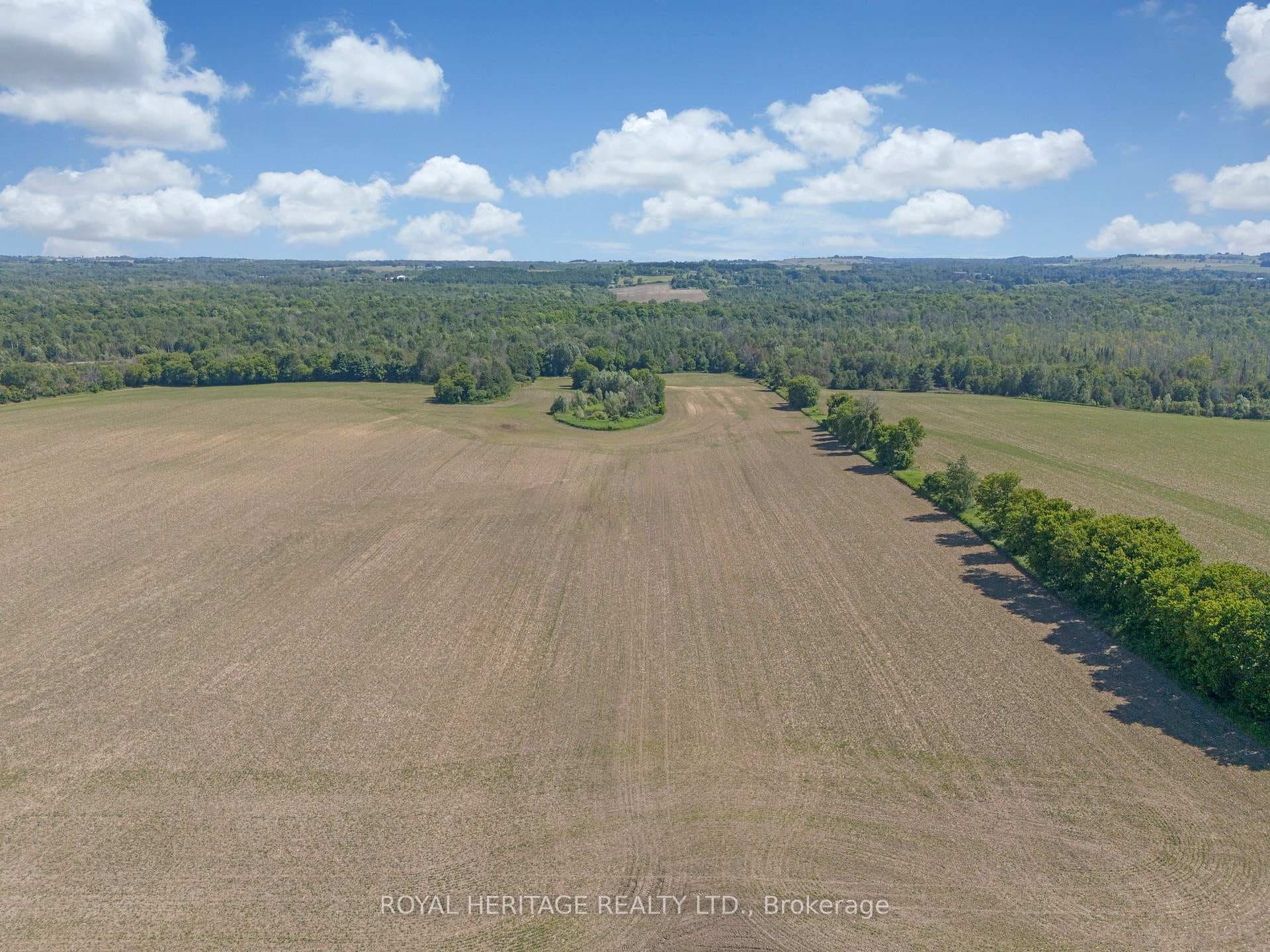 4591 Concession 5 Road photo 8