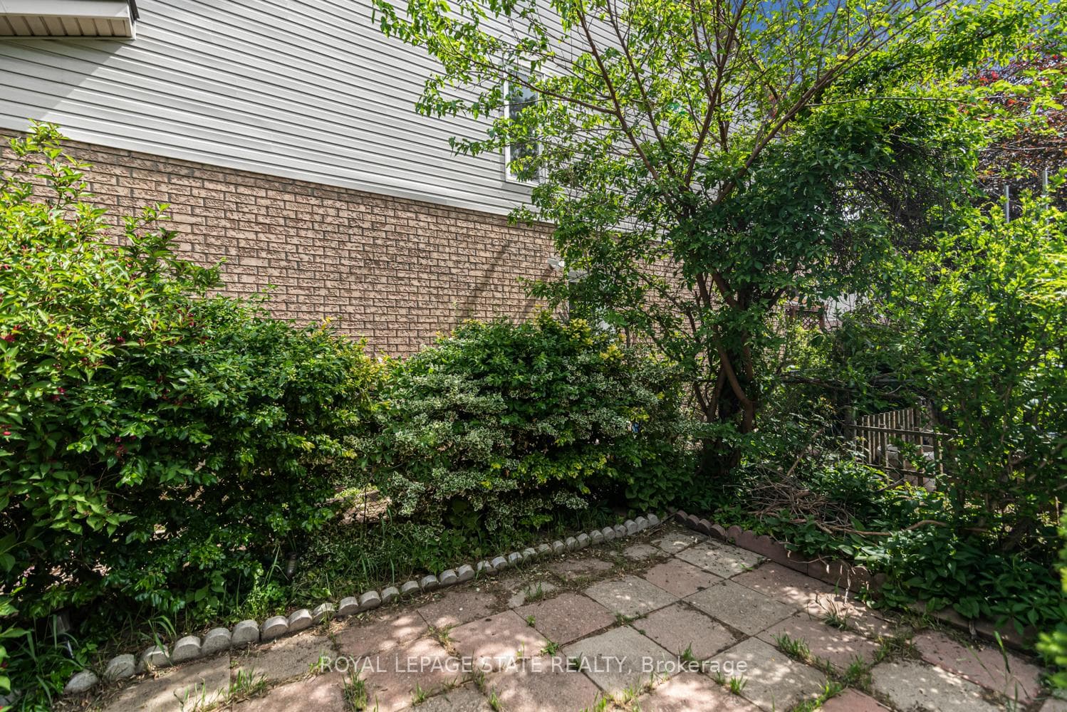 127 Terni Boulevard photo 38