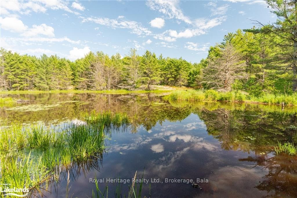 1186 SAM COOK Road photo 28